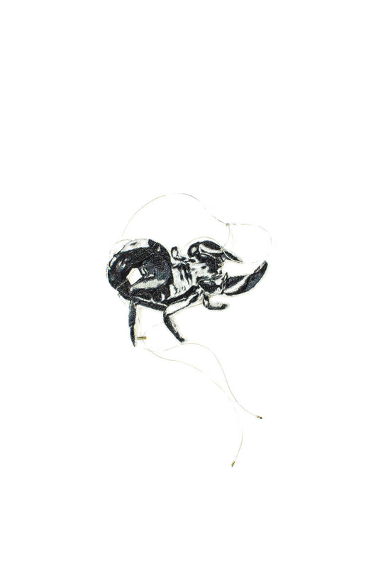 EMBROIDERED SCORPION TOP